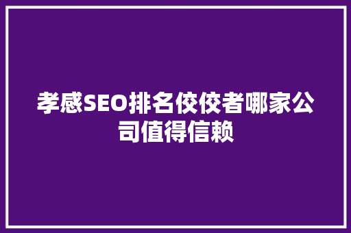 孝感SEO排名佼佼者哪家公司值得信赖