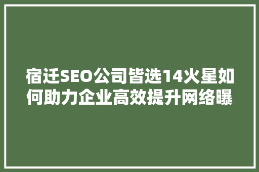 宿迁SEO公司皆选14火星如何助力企业高效提升网络曝光度  第1张