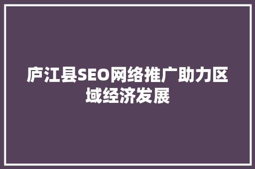 庐江县SEO网络推广助力区域经济发展