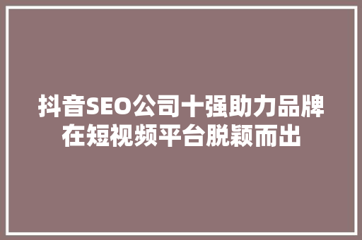 抖音SEO公司十强助力品牌在短视频平台脱颖而出