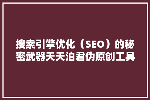 搜索引擎优化（SEO）的秘密武器天天泊君伪原创工具