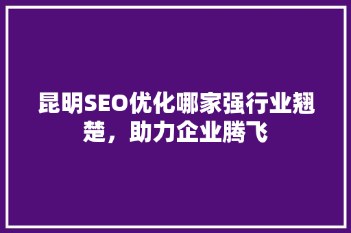 昆明SEO优化哪家强行业翘楚，助力企业腾飞