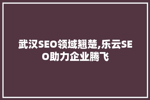 武汉SEO领域翘楚,乐云SEO助力企业腾飞  第1张