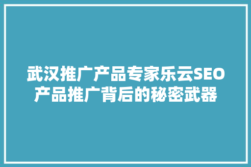 武汉推广产品专家乐云SEO产品推广背后的秘密武器