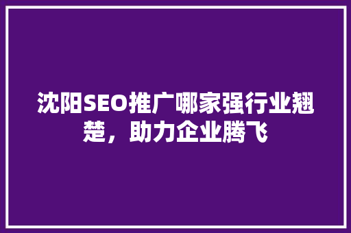 沈阳SEO推广哪家强行业翘楚，助力企业腾飞