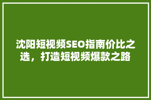 沈阳短视频SEO指南价比之选，打造短视频爆款之路  第1张