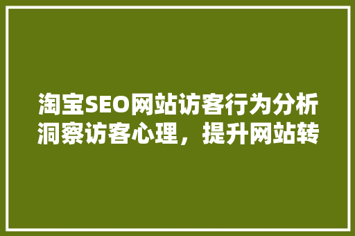 淘宝SEO网站访客行为分析洞察访客心理，提升网站转化率