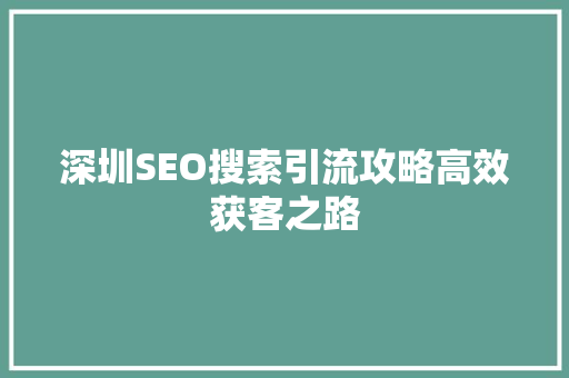 深圳SEO搜索引流攻略高效获客之路