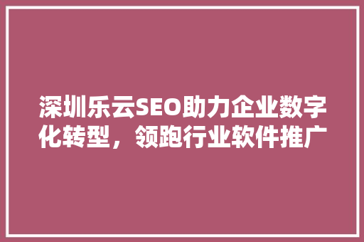 深圳乐云SEO助力企业数字化转型，领跑行业软件推广新潮流