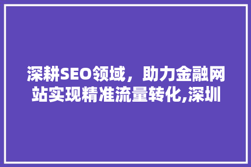 深耕SEO领域，助力金融网站实现精准流量转化,深圳SEO公司引领行业新风尚