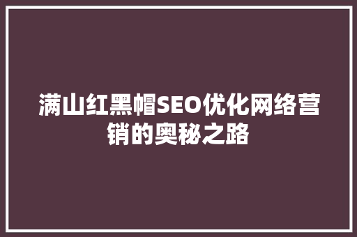 满山红黑帽SEO优化网络营销的奥秘之路  第1张