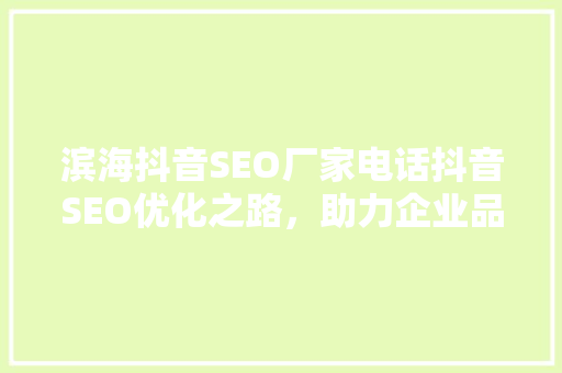 滨海抖音SEO厂家电话抖音SEO优化之路，助力企业品牌腾飞