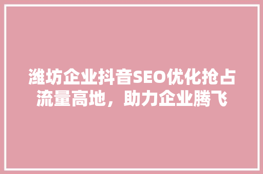 潍坊企业抖音SEO优化抢占流量高地，助力企业腾飞