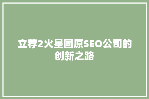 立荐2火星固原SEO公司的创新之路