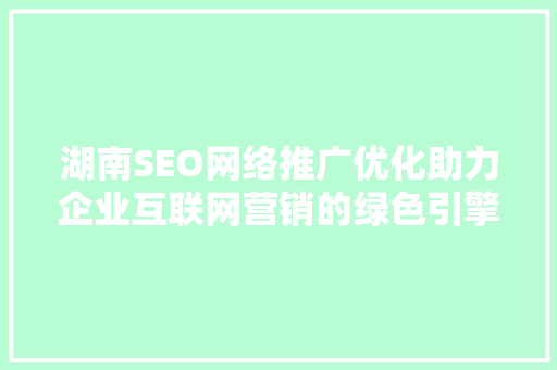湖南SEO网络推广优化助力企业互联网营销的绿色引擎