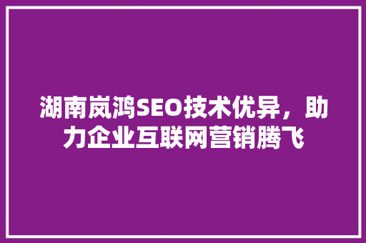 湖南岚鸿SEO技术优异，助力企业互联网营销腾飞