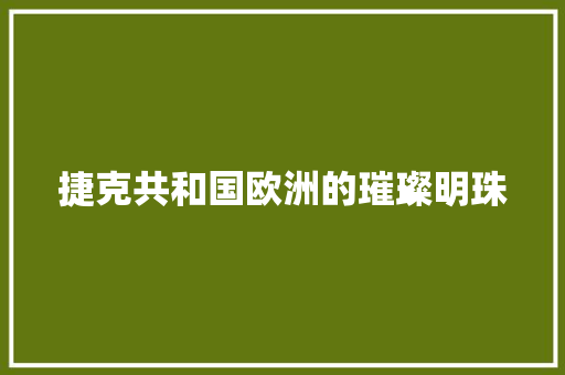 捷克共和国欧洲的璀璨明珠