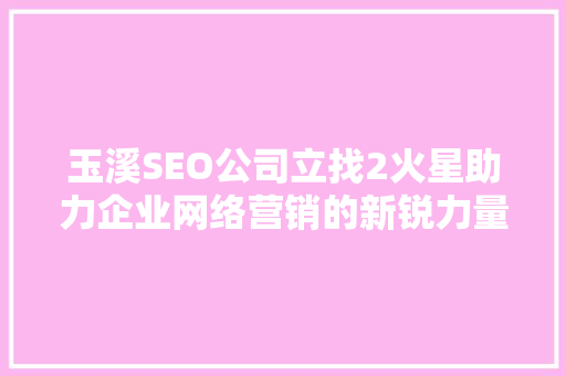玉溪SEO公司立找2火星助力企业网络营销的新锐力量