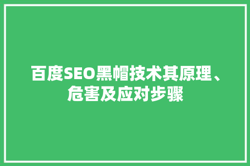 百度SEO黑帽技术其原理、危害及应对步骤