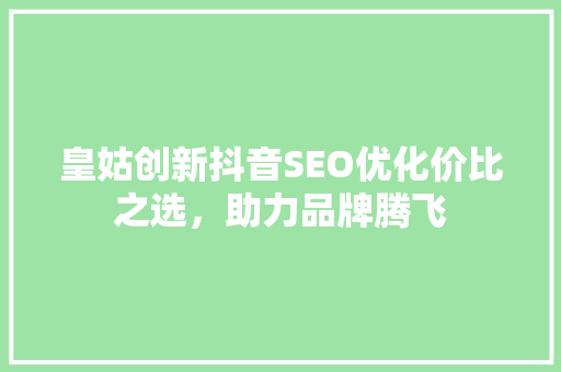 皇姑创新抖音SEO优化价比之选，助力品牌腾飞