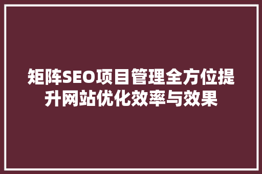 矩阵SEO项目管理全方位提升网站优化效率与效果