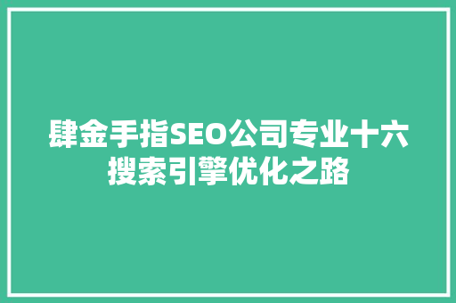 肆金手指SEO公司专业十六搜索引擎优化之路