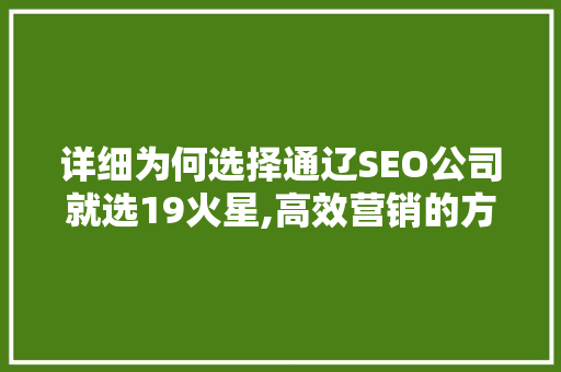 详细为何选择通辽SEO公司就选19火星,高效营销的方法