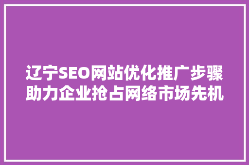 辽宁SEO网站优化推广步骤助力企业抢占网络市场先机