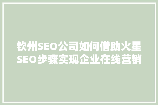 钦州SEO公司如何借助火星SEO步骤实现企业在线营销突破