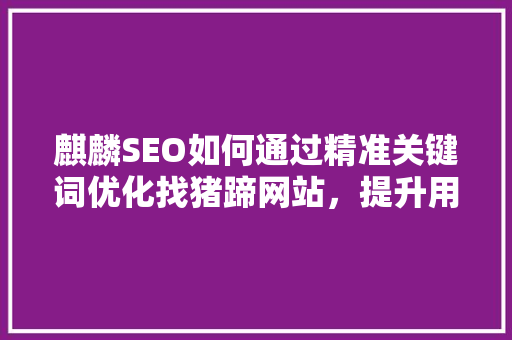 麒麟SEO如何通过精准关键词优化找猪蹄网站，提升用户体验