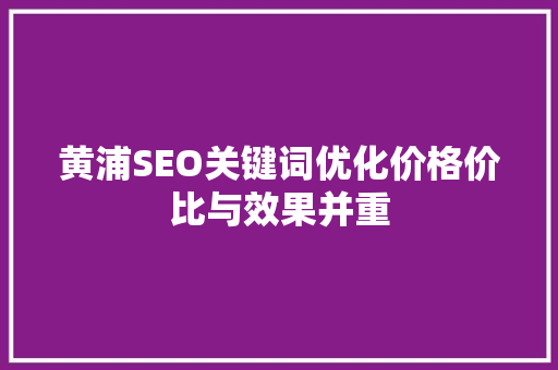 黄浦SEO关键词优化价格价比与效果并重