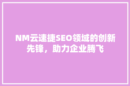 NM云速捷SEO领域的创新先锋，助力企业腾飞