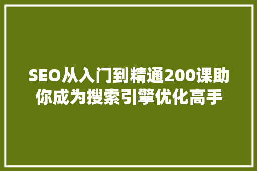 SEO从入门到精通200课助你成为搜索引擎优化高手