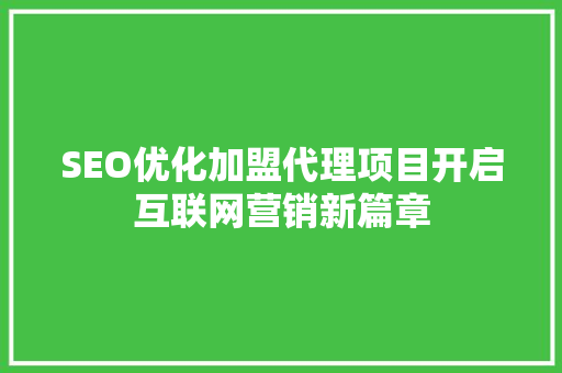 SEO优化加盟代理项目开启互联网营销新篇章