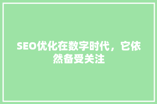 SEO优化在数字时代，它依然备受关注