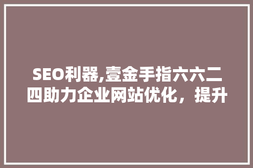 SEO利器,壹金手指六六二四助力企业网站优化，提升在线竞争力  第1张