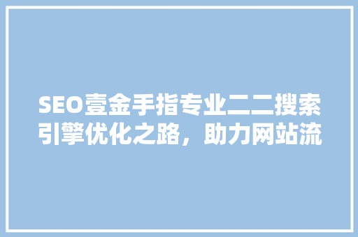 SEO壹金手指专业二二搜索引擎优化之路，助力网站流量飙升  第1张