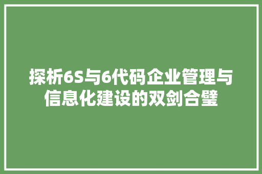 探析6S与6代码企业管理与信息化建设的双剑合璧