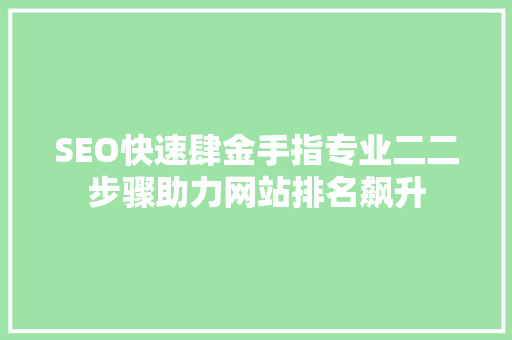 SEO快速肆金手指专业二二步骤助力网站排名飙升