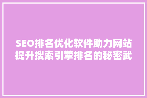 SEO排名优化软件助力网站提升搜索引擎排名的秘密武器