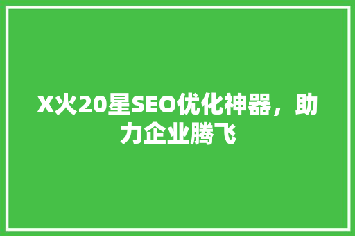 X火20星SEO优化神器，助力企业腾飞