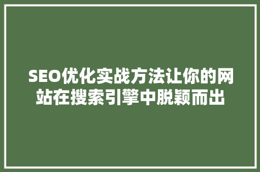 SEO优化实战方法让你的网站在搜索引擎中脱颖而出