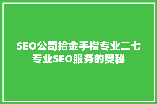 SEO公司拾金手指专业二七专业SEO服务的奥秘