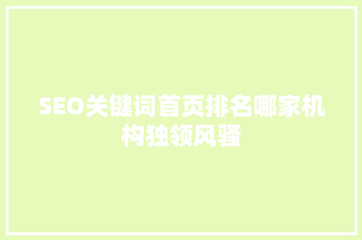 SEO关键词首页排名哪家机构独领风骚