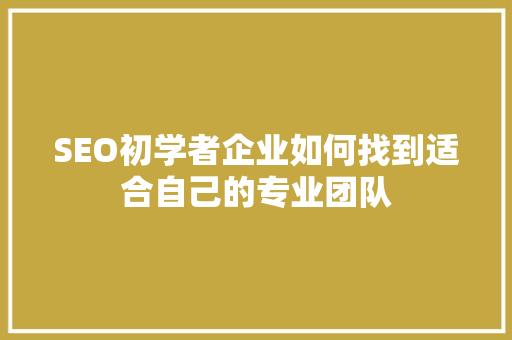 SEO初学者企业如何找到适合自己的专业团队