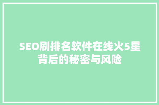 SEO刷排名软件在线火5星背后的秘密与风险