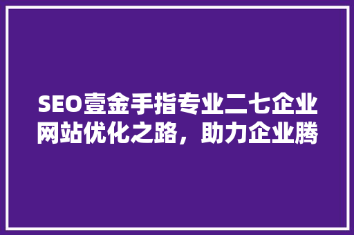 SEO壹金手指专业二七企业网站优化之路，助力企业腾飞