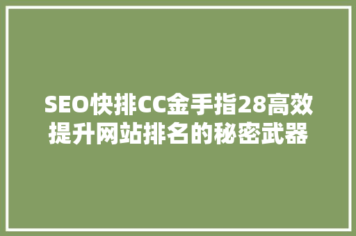 SEO快排CC金手指28高效提升网站排名的秘密武器