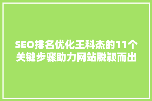 SEO排名优化王科杰的11个关键步骤助力网站脱颖而出