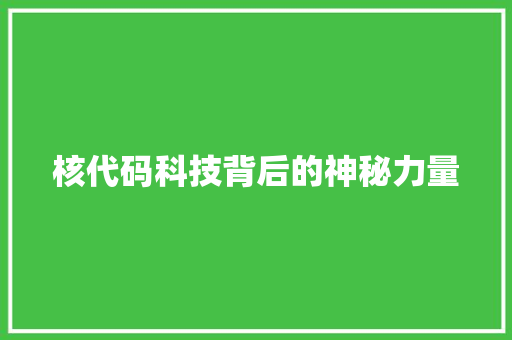 核代码科技背后的神秘力量